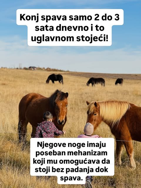 Neobične činjenice o domaćim životinjama — slika 3