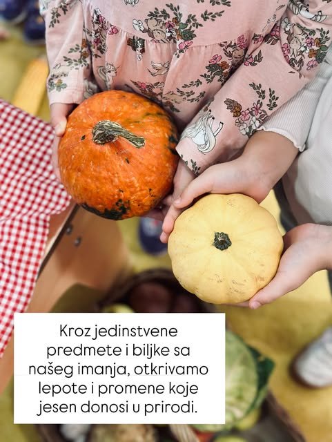 🍁 Čitalačka radionica „Jesen na našem selu“ 🍂 — slika 8