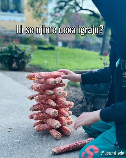 Kako se kaže: čokot, ili drugačije? — slika 6
