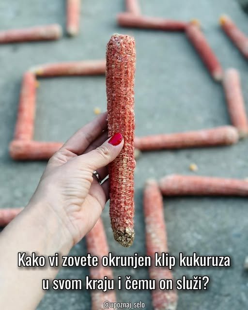 Ruka drži okrunjen klip, uz pitanje kako ga zovu u vašem kraju i čemu služi.