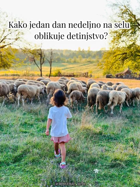 Kako jedan dan nedeljno na selu oblikuje detinjstvo? — slika 1