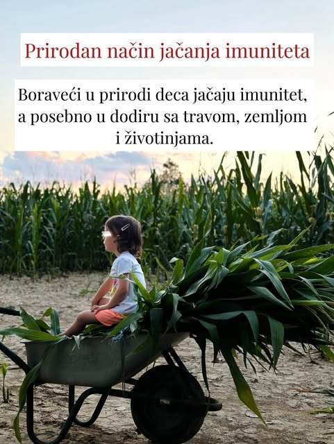 Kako jedan dan nedeljno na selu oblikuje detinjstvo? — slika 9