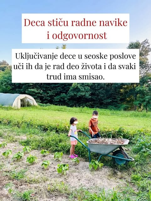 Dvoje male dece pomaže u bašti i pored sadnica povrća guraju zelena baštenska kolica.