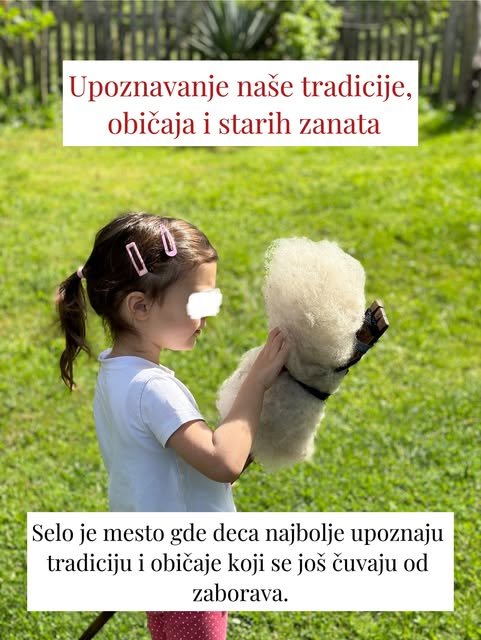Devojčica u dvorištu drži u rukama belo ovčje runo vezano za štap.