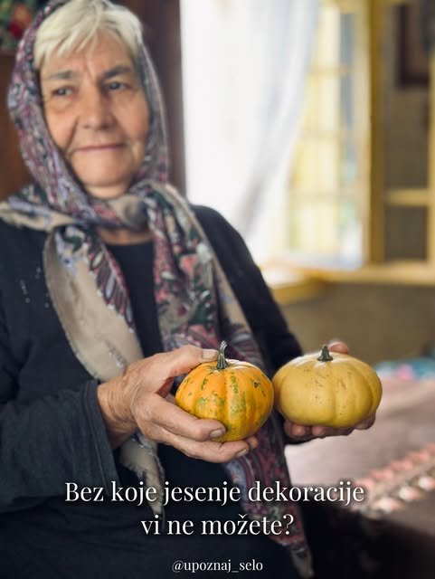 Baka u marami pokazuje dve male ukrasne tikvice, narandžastu sa zelenim prugama i svetložutu.