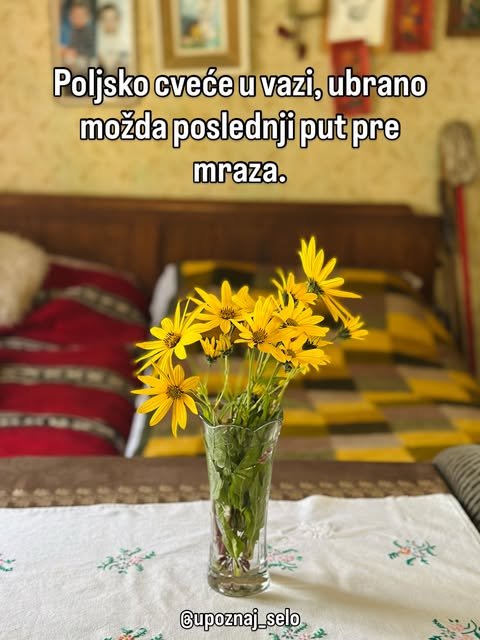 Buket žutog poljskog cveća u staklenoj vazi na stolu sa vezenim stolnjakom, iza je krevet sa kariranim ćebetom.