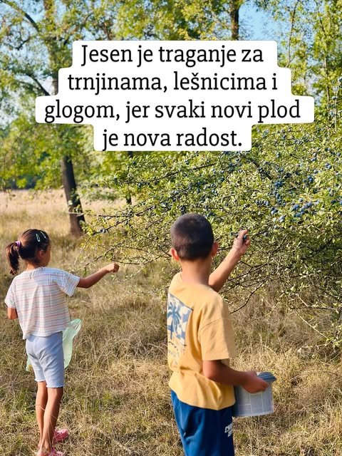 Dečak sa providnom posudom i devojčica beru plodove sa trnovitog žbuna na suvoj livadi.