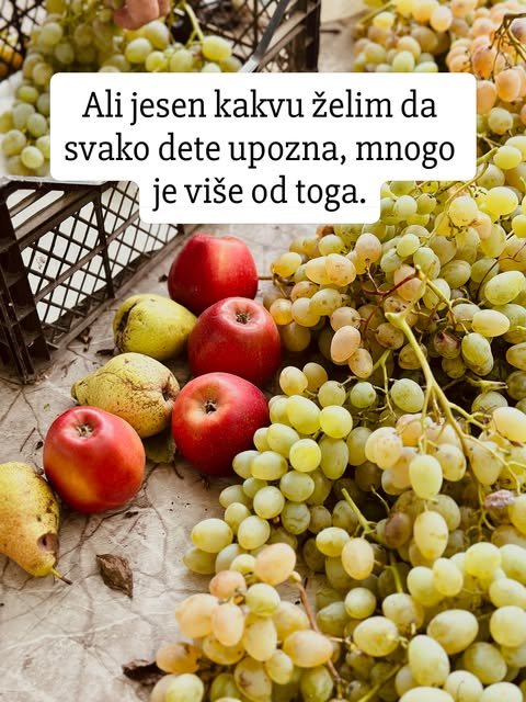 Crvene jabuke, žute kruške i zrelo belo grožđe poređani na papiru pored plastične gajbe.