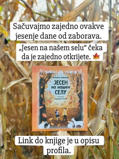 Slikovnica Nevene Jovičić naslonjena na suve stabljike kukuruza u jesenjem polju.