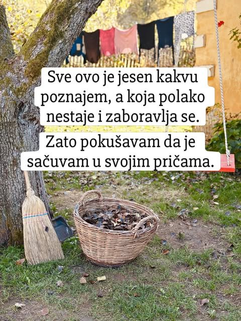 Pletena korpa puna suvog lišća i slamnata metla ispod starog drveta, a iza njih se suši veš.