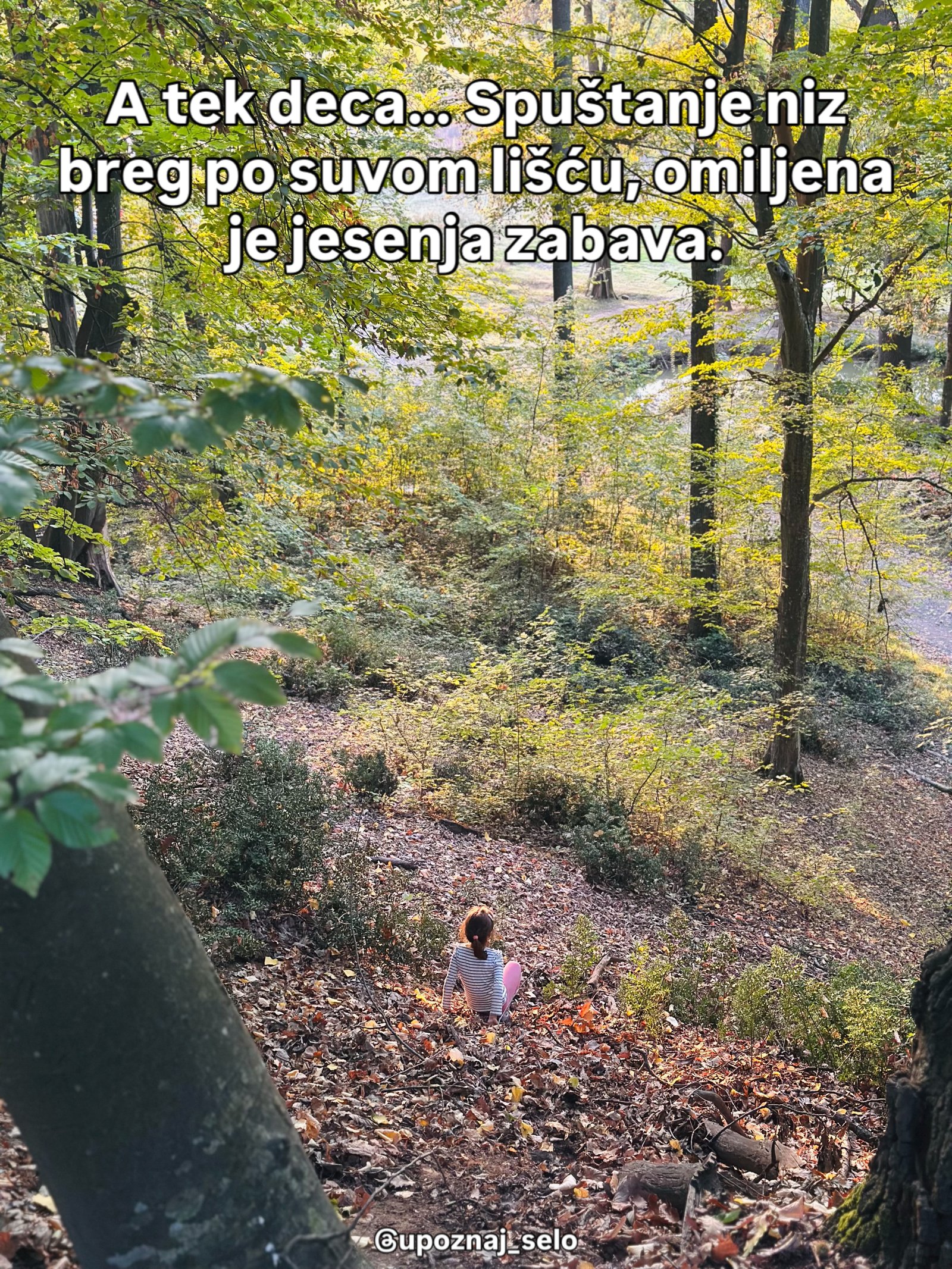 Devojčica u prugastoj majici, okrenuta leđima, sedi na šumskoj padini punoj suvog lišća.