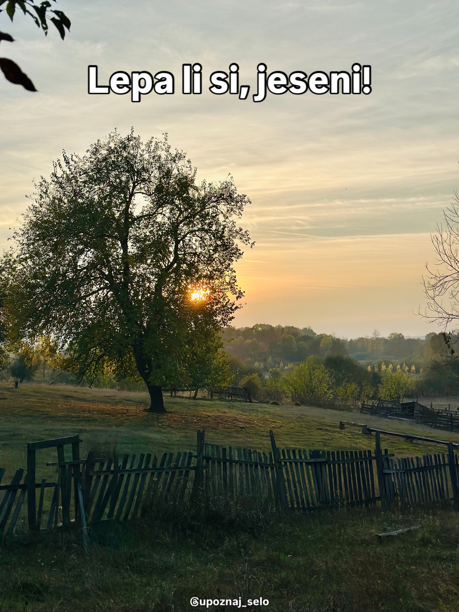 Sunce se spušta iza krošnje usamljenog drveta na livadi ograđenoj starim drvenim plotom.