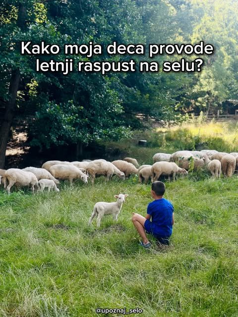 Leto na selu — deca, priroda i životinje