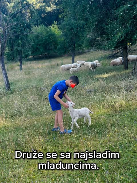 Leto na selu — slika 3