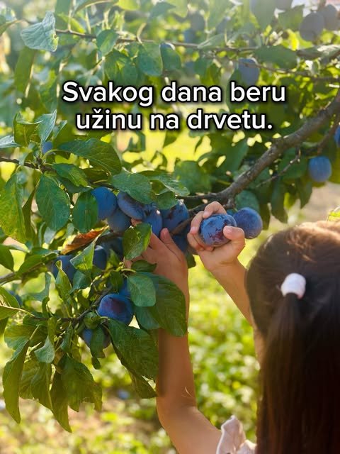 Leto na selu — slika 8