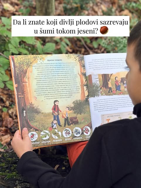Dečak u šumi drži otvorenu knjigu na stranici o šumskim plodovima, sa ilustrovanim žirom, kestenom i lešnikom.