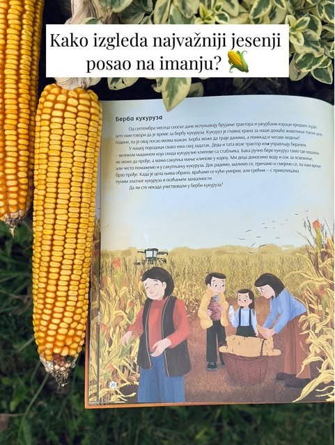 Dva zrela žuta klipa leže pored otvorene knjige sa ilustracijom porodice koja bere kukuruz u polju.