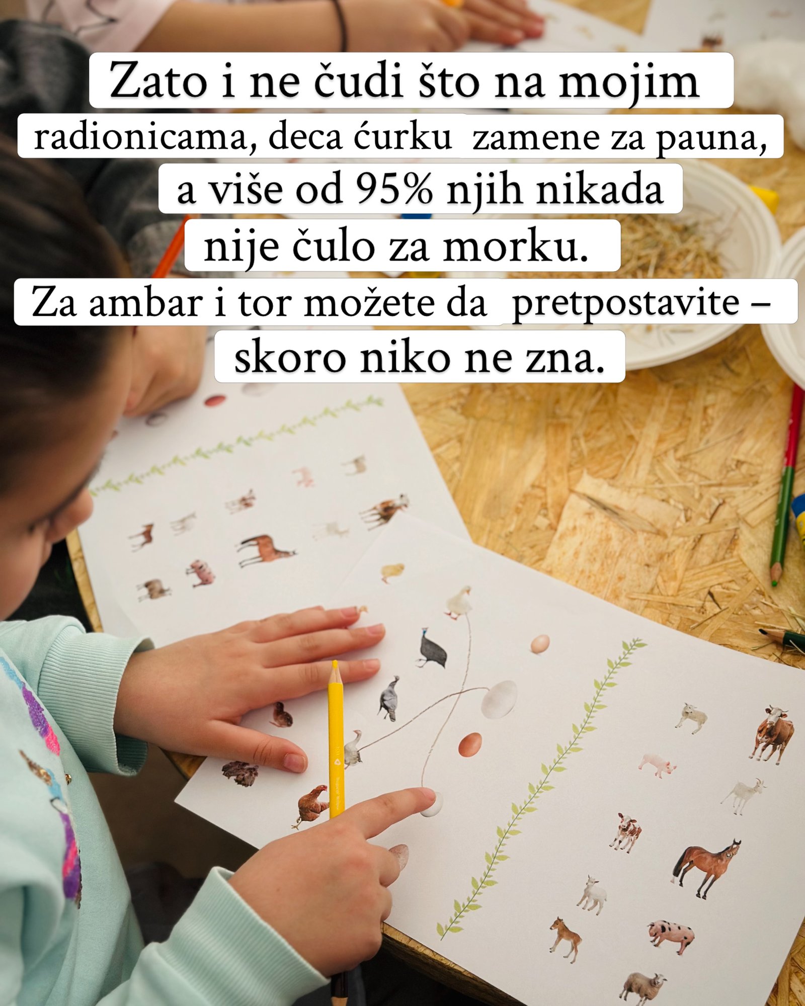 Dete na radionici prstom pokazuje životinje na radnom listu sa domaćim životinjama.