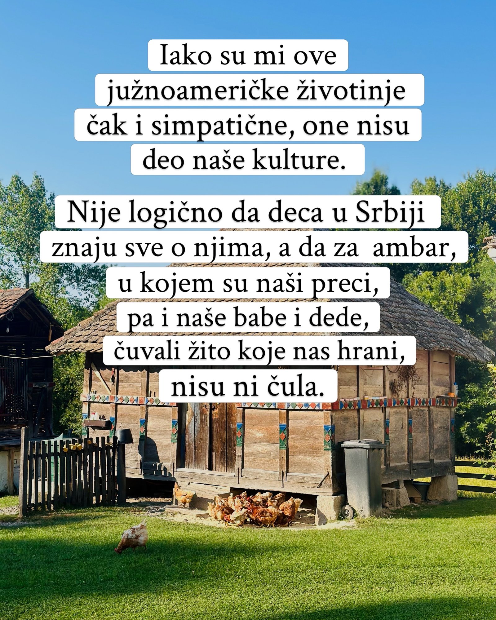 Stari drveni ambar sa oslikanim ukrasima, dok ispod njega čeprkaju kokoške.