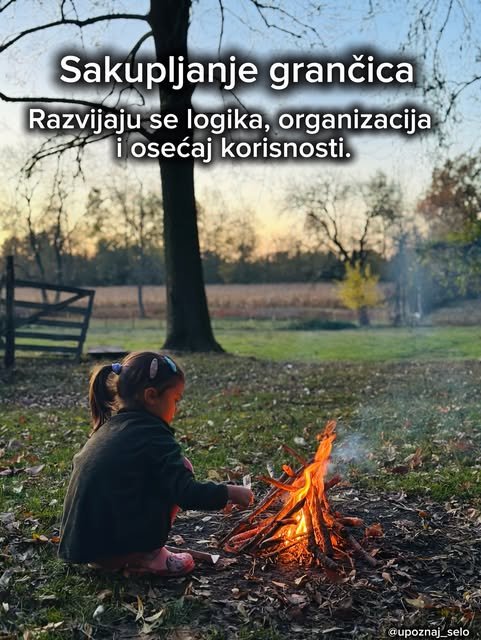 Mala devojčica u sumrak dodaje suve grančice u vatru na travnjaku pored starog drveta.