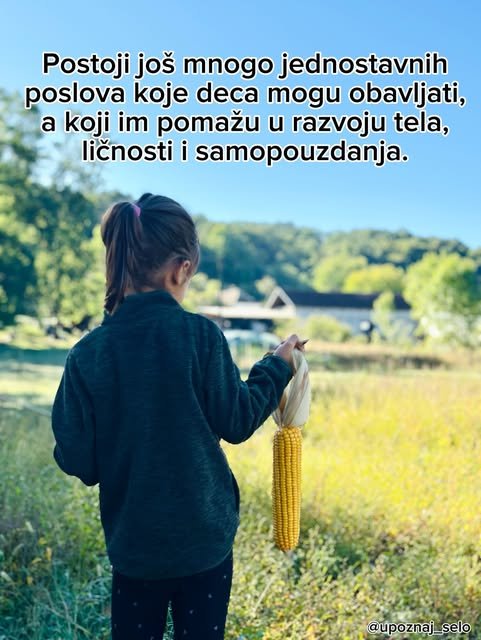 Devojčica okrenuta leđima drži zreo žuti klip kukuruza dok gleda ka zelenom polju i kućama.