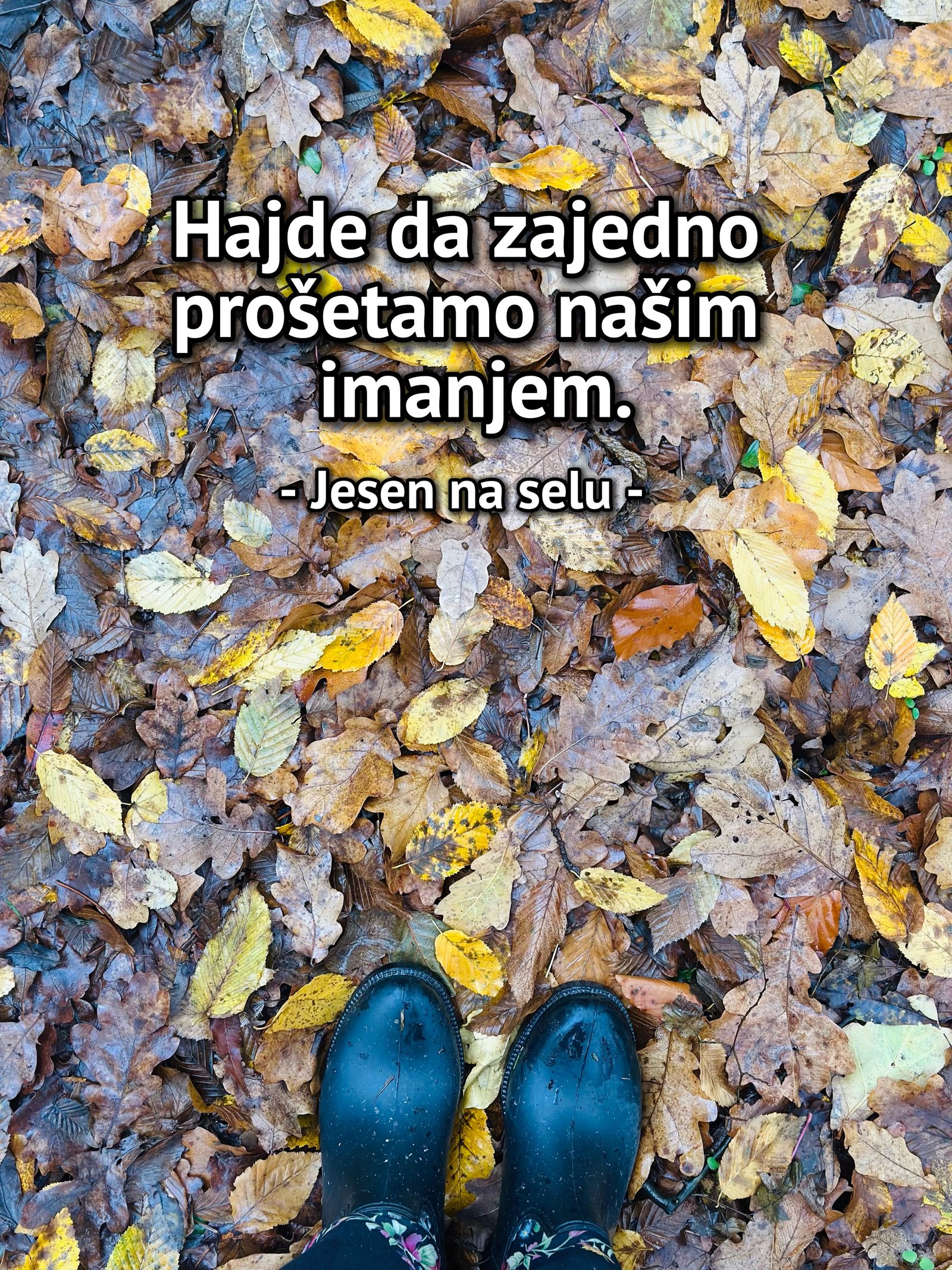 Gumene čizme na šarenom jesenjem lišću hrasta i bukve