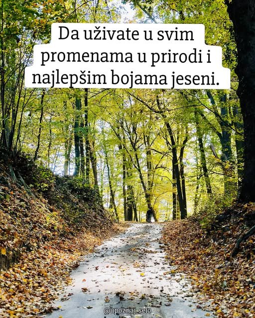Prvi dan jeseni - 23. septembar — slika 2
