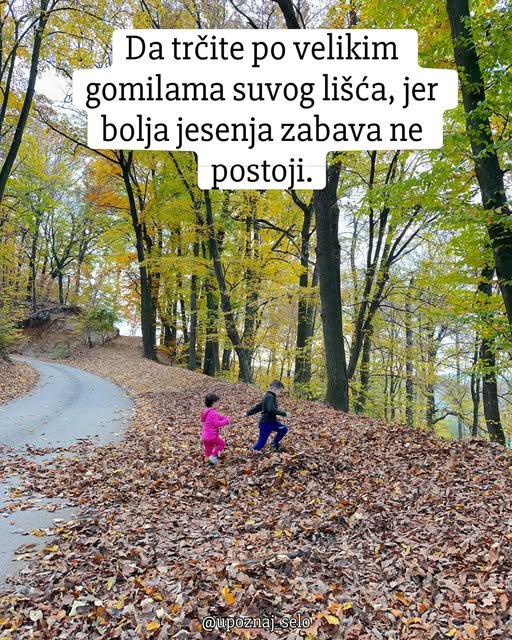 Prvi dan jeseni - 23. septembar — slika 4
