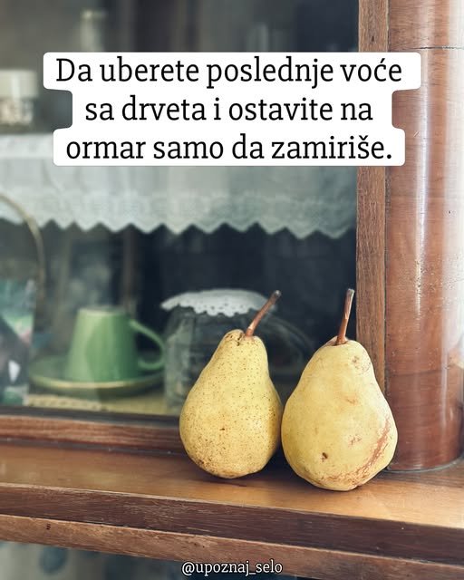 Prvi dan jeseni - 23. septembar — slika 6
