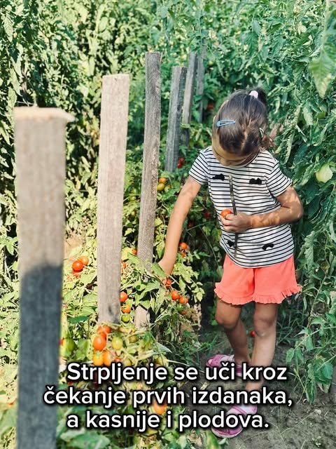 Zajednički rad - najlepše provedeni trenuci — slika 5