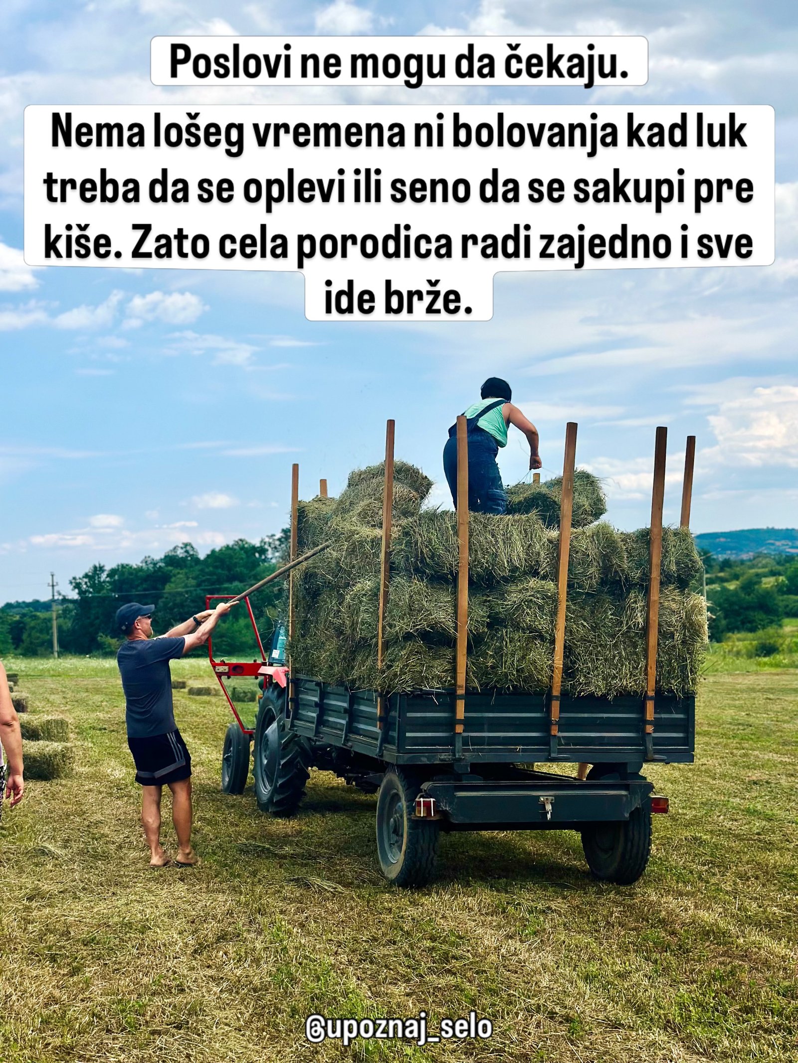 Muškarac vilama dodaje bale sena ženi koja ih slaže na punu prikolicu.