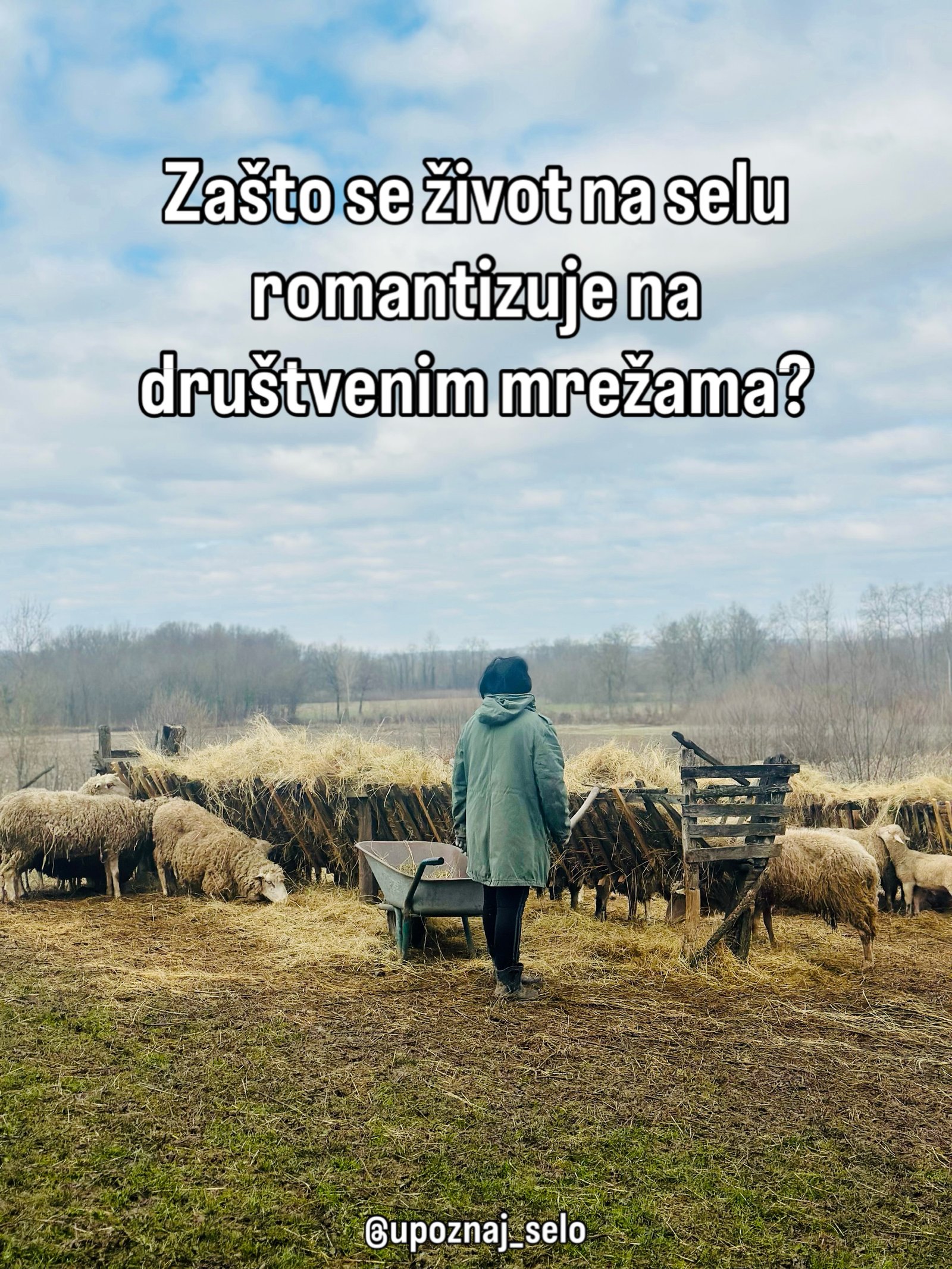 Žena u zelenoj jakni stoji leđima okrenuta, dok ovce jedu seno iz drvenih jasala