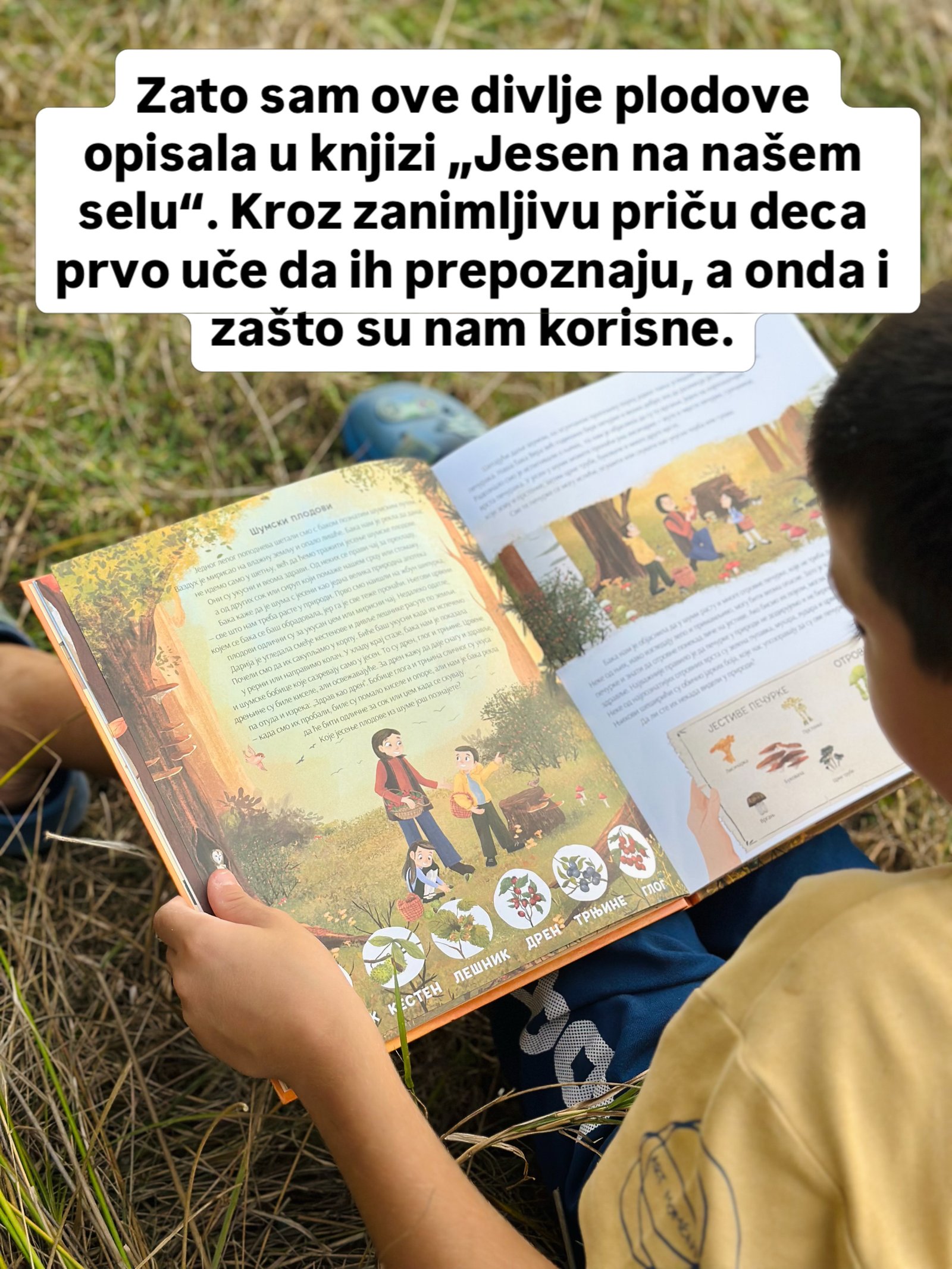 Dečak u žutoj majici sedi u travi i lista ilustrovanu stranu o šumskim plodovima i pečurkama