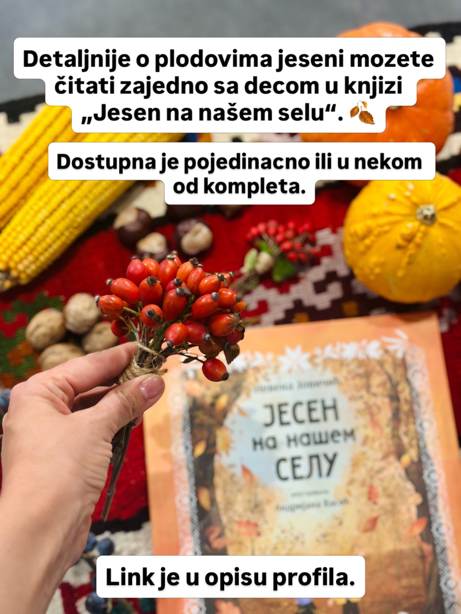 Svezan buketić crvenih plodova u ruci, iznad ćilima sa kukuruzom, bundevama, orasima i knjigom o jeseni