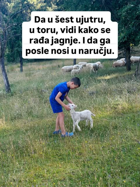 Stvari koje deca iz grada možda nikada neće doživeti — slika 5