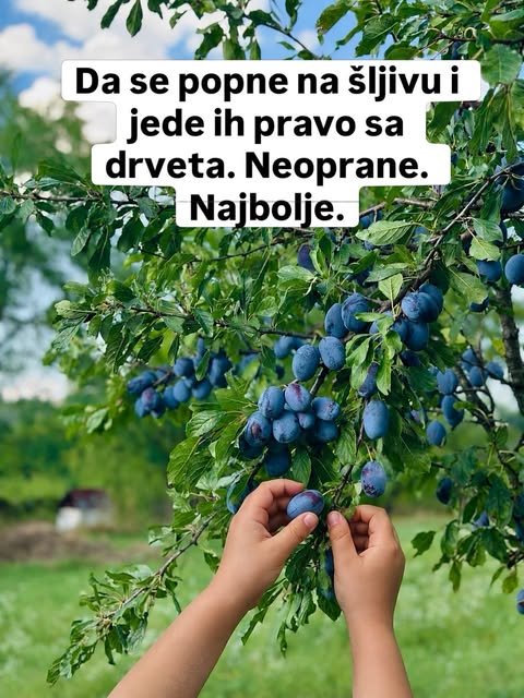Stvari koje deca iz grada možda nikada neće doživeti — slika 6