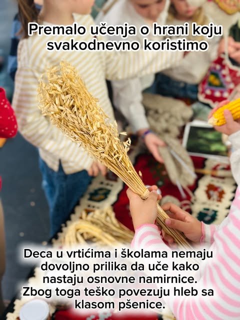 Dečje ruke drže snop zlatnog ovsa dok se deca okupljaju oko stola sa žitaricama i klipom kukuruza.