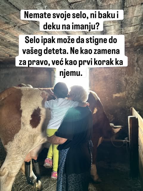 U polumračnoj štali baka drži dete u naručju dok ono miluje belosmeđu kravu, a kroz vrata ulazi svetlost.
