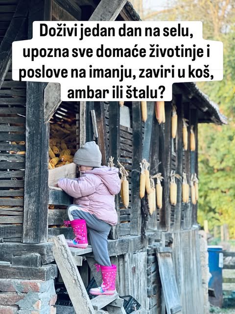 Dete u roze jakni i čizmicama penje se uz merdevine i zaviruje u stari drveni koš pun kukuruza.