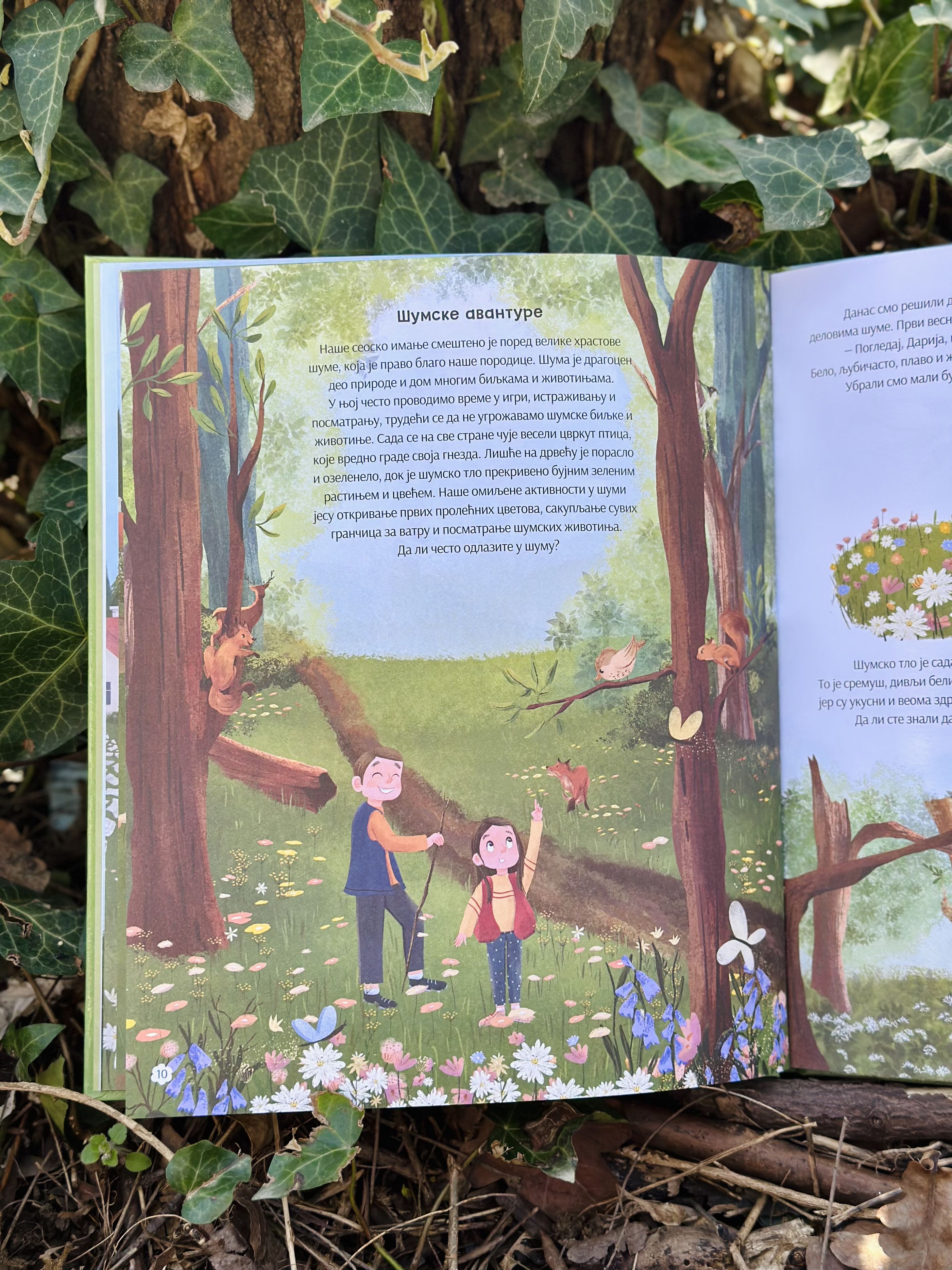 Slika knjige 'Proleće na našem selu' - priča o šumi'