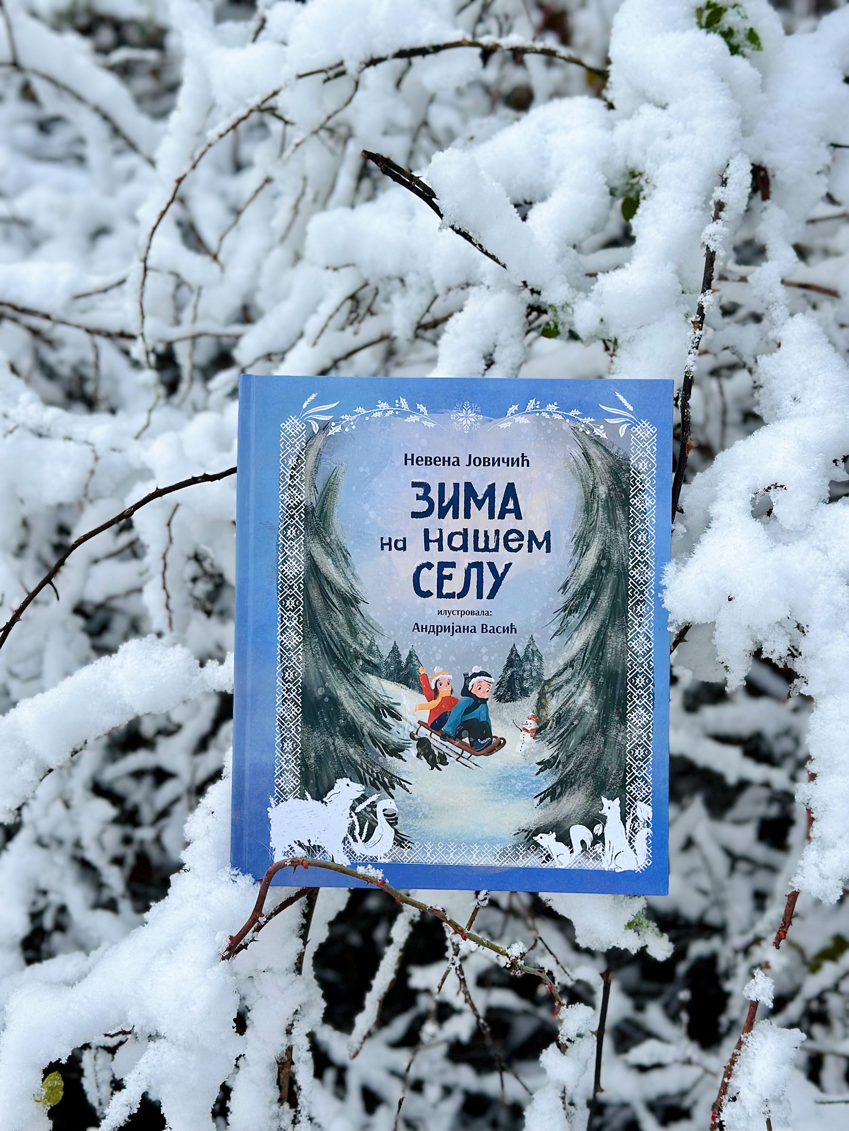 Slika knjige 'Zima na našem selu'u prirodi'