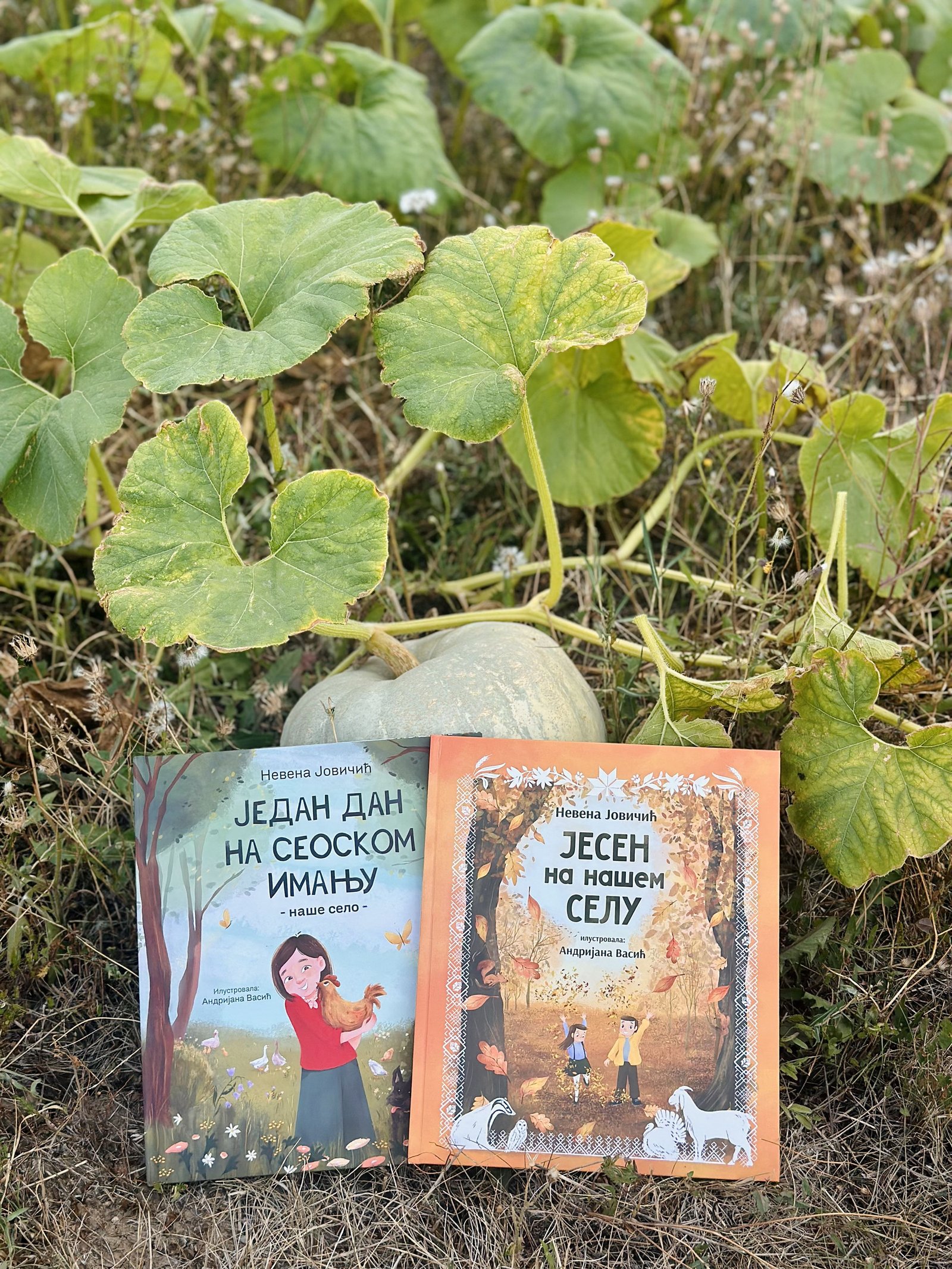 Paket jesenjih knjiga - primer kako izgledaju